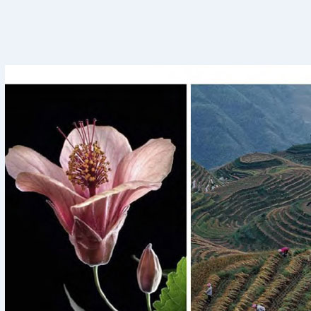 綜合體作品案例展示