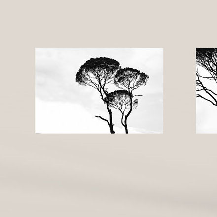 商業(yè)綜合體作品案例展示